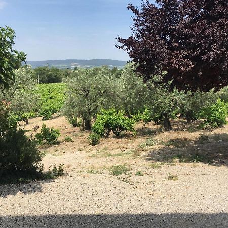 Villa Mas Du Prescondu Mirabel-aux-Baronnies Esterno foto